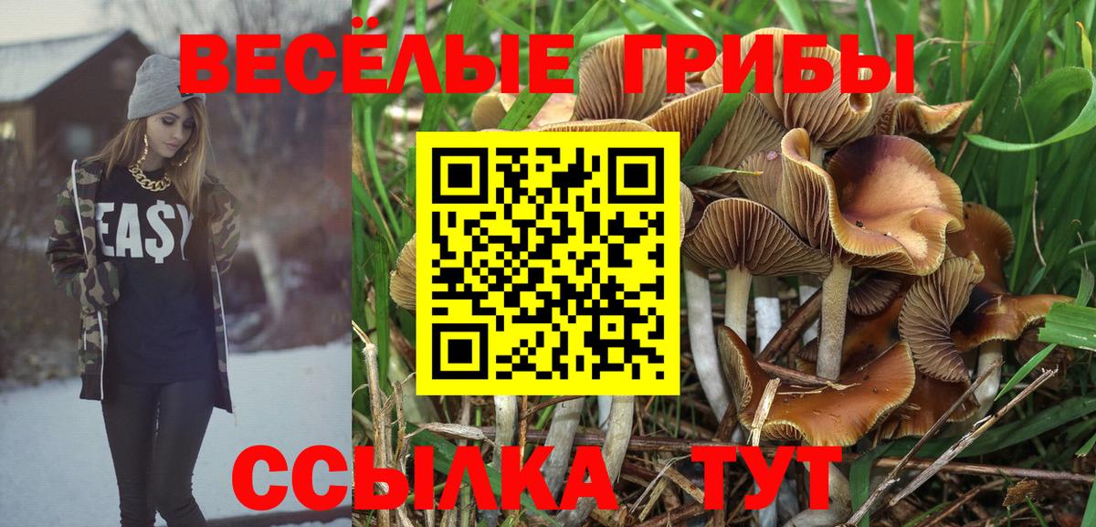 Псилоцибиновые грибы мухоморы Александров