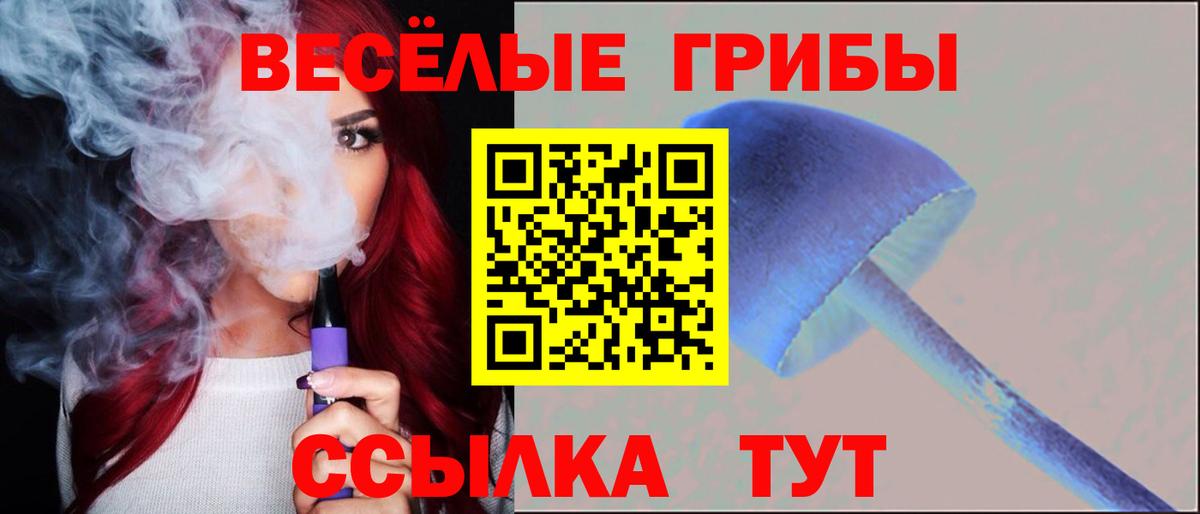 Александров  Псилоцибиновые грибы Cubensis  Галлюциногенные грибы Psilocybine cubensis  продажа наркотиков  Вход с VPN 